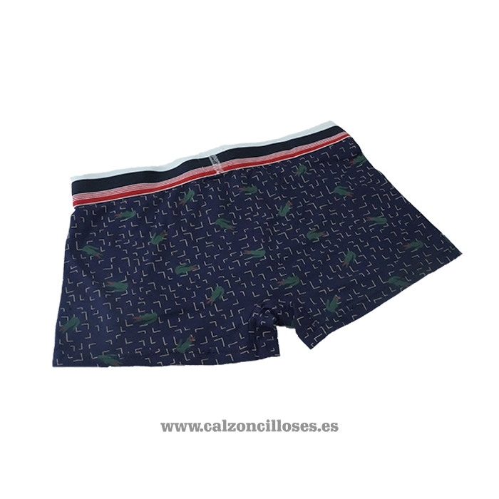 Boxer Lacoste Hombre Prints Colors Violeta Verde